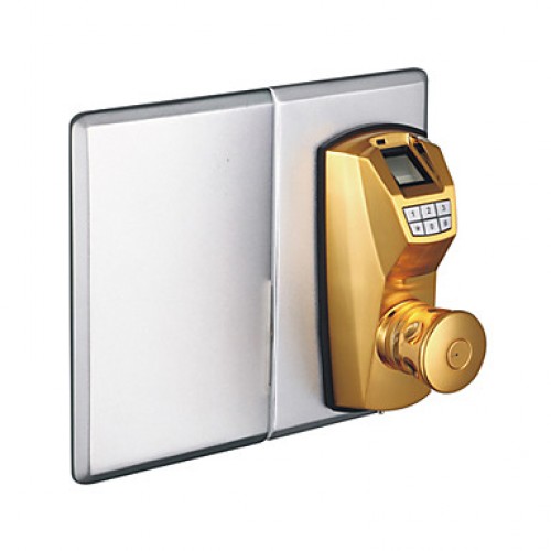 Archie Zinc Alloy Fingerprint & Code Door...