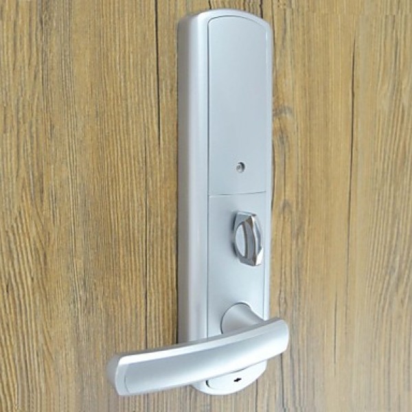 3 in 1 Smart Combination Door Lock Opens by Password Mechanical Key or Card for Exterior Door